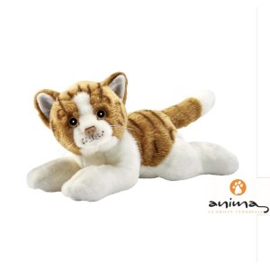 CHAT ROUX/BLANC COUCHE – ANIMA