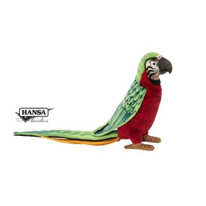 PERRUCHE VERT ET ROUGE – ANIMA