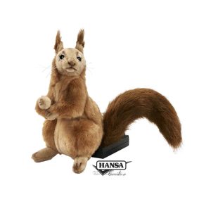 ECUREUIL ROUX – ANIMA