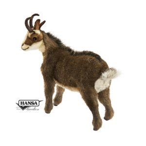 CHAMOIS – ANIMA