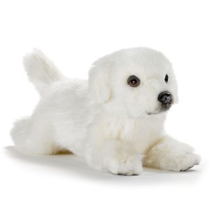 BELLE COUCHEE – ANIMA