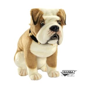 BULLDOG ANGLAIS – ANIMA