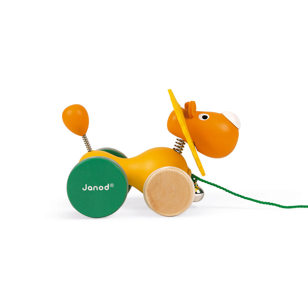 Janod Lion à Promener Zigolos (BOIS) – Image 2