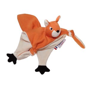 Écureuil roux Polatouche