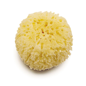 Olmitos Éponge Natural