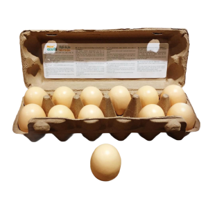 MEM&rsquo;OEUF – MEMO SONORE –  VILAC