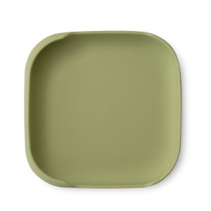 Interbaby Assiette en Silicone avec Ventuose