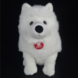 Magnifique Chien Samoyède